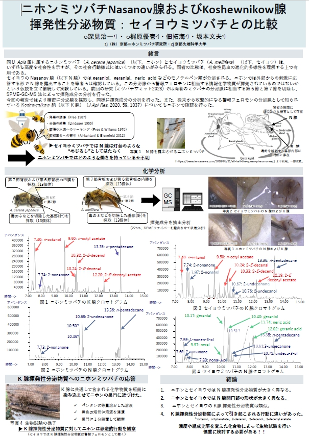 ミツバチサミット2025ポスター発表