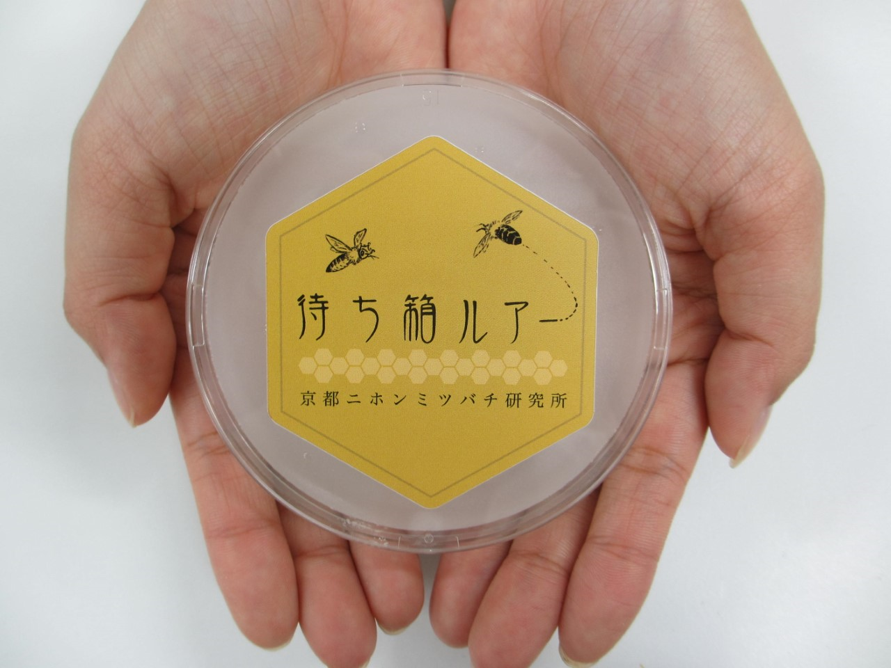 コラム画像